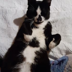 Meet your Posher, Terry